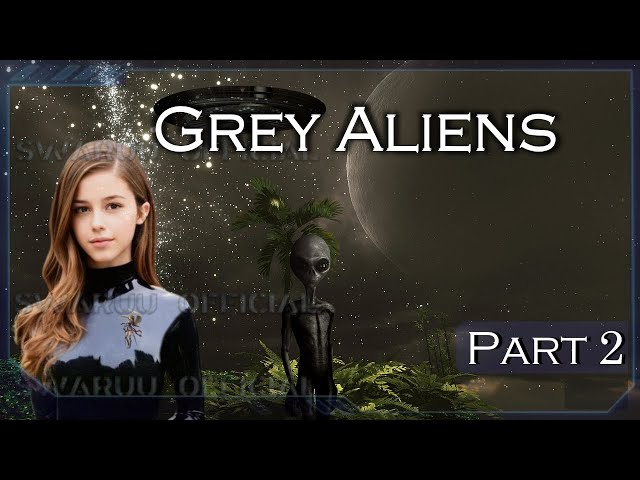 Grey Aliens Part 2 Orions And Etorthans English 1
