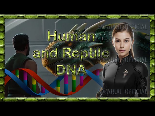Human Genetic Compatibility With Reptilian Possessions English 1
