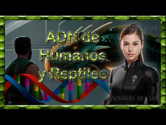 Human Genetic Compatibility With Reptilian Possessions English 3