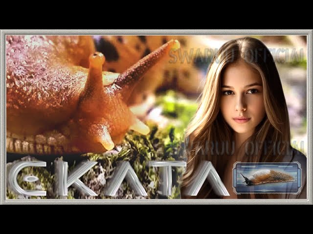 ekata, super limax maximus estelaris. ( english ) 1