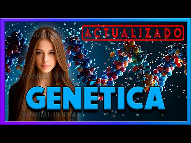 More On Genetics Swaruuneans And Other Things Reaction Video 2